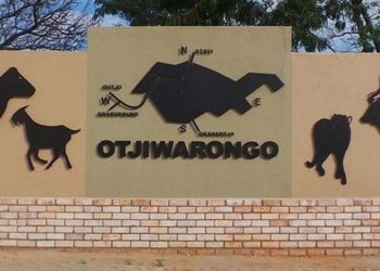 Massive biomass project to boost Otjiwarongo’s economy