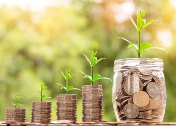 Green finance has potential to create jobs-EIF