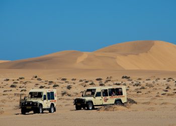 Tourism sector upbeat on recovery