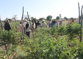 Green Climate Fund projects help smallholder farmers