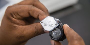 NAMDIA set to appoint CEO