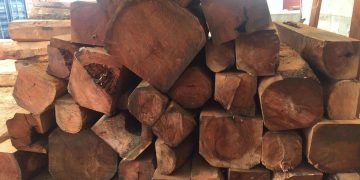 Money laundering, illicit timber among Namibia’s economic headaches