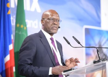 Namibia, EU reach provisional deal on rare earth minerals