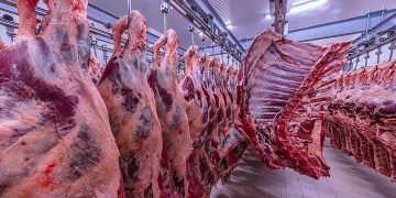 Namibia records decline in February beef exports