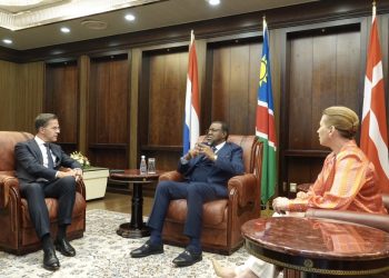 Denmark, Netherlands call for speedy implementation of green hydrogen projects