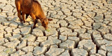 Drought impact manageable – Schlettwein