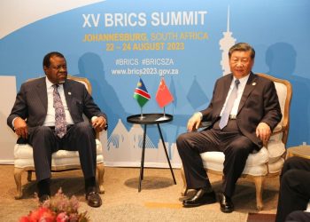 Xi Jinping pledges investment support for Namibia’s clean energy sector