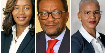 New ECB board appointed