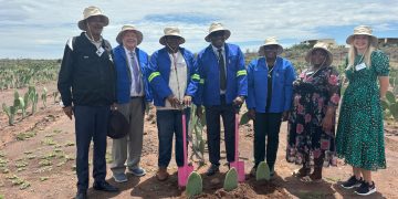 Nopal to generate 5MW of electricity from Namibia cactus farm