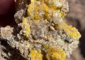 Connected Minerals reports strong uranium grades at Etango North-East