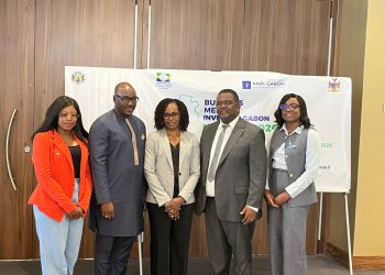 Namibia and Gabon explore partnerships in green energy, petroleum services and oil refining