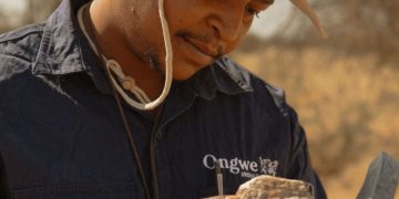 Ongwe Minerals uncovers 2km gold anomaly at Belmont Prospect