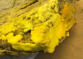 Rough rock surface covered in bright yellow sulfur mineral deposits.