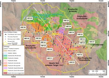 Geological map showing drillhole collars (HM labels) and section lines within Target zones, with a color-coded lithology legend and geographic grid.