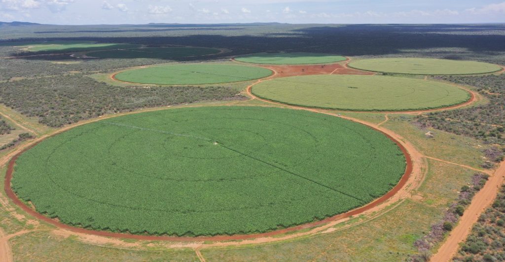 WhatsApp Image 2026-05-28 at 10531 PM | Mining and Energy Namibia | Namibia’s Leading Mining & Energy News Aerial view of multiple large circular crop fields separated by red dirt roads in a dry landscape with scrubby surroundings.