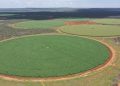 WhatsApp Image 2026-05-28 at 10531 PM | Mining and Energy Namibia | Namibia’s Leading Mining & Energy News Aerial view of multiple large circular crop fields separated by red dirt roads in a dry landscape with scrubby surroundings.