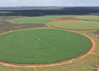 Aerial view of multiple large circular crop fields separated by red dirt roads in a dry landscape with scrubby surroundings.