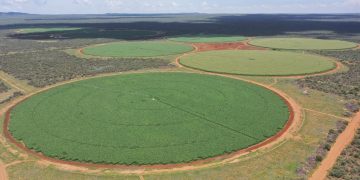 Aerial view of multiple large circular crop fields separated by red dirt roads in a dry landscape with scrubby surroundings.