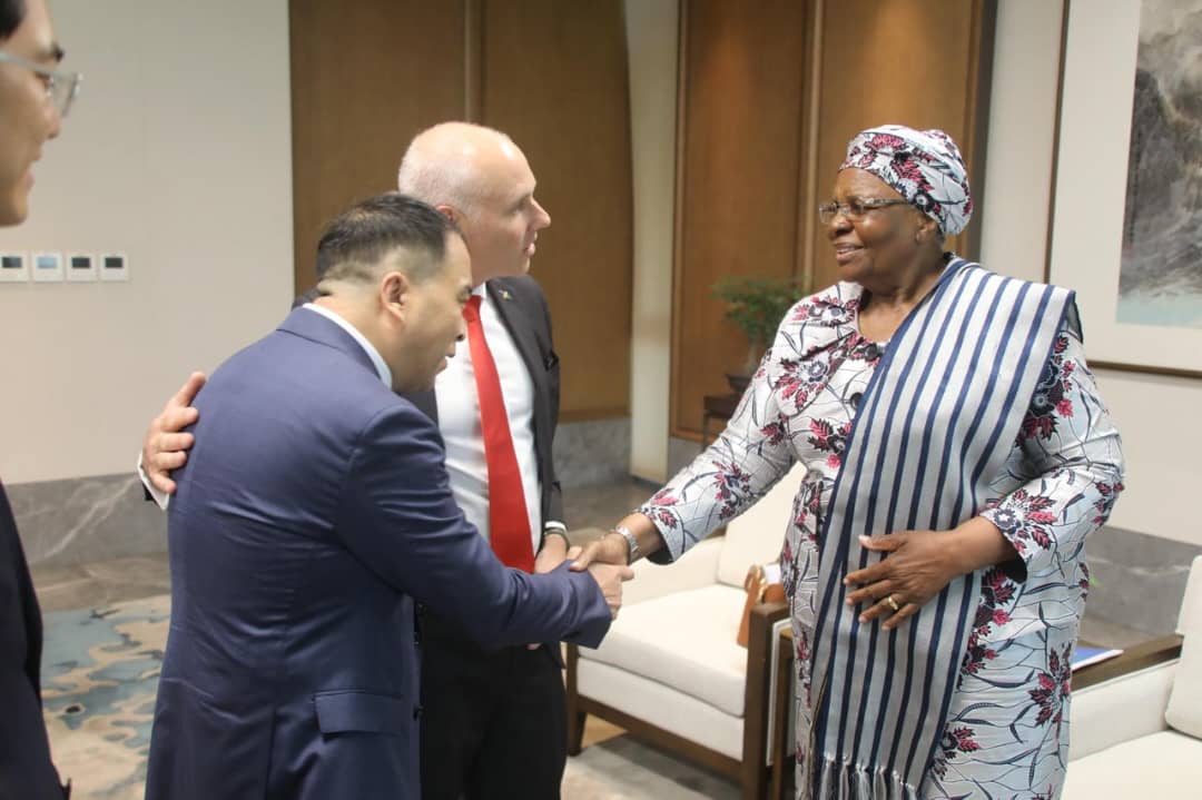 Namibia s President meets China s CC7, contractor for Hyphen s 3GW green ammonia plant