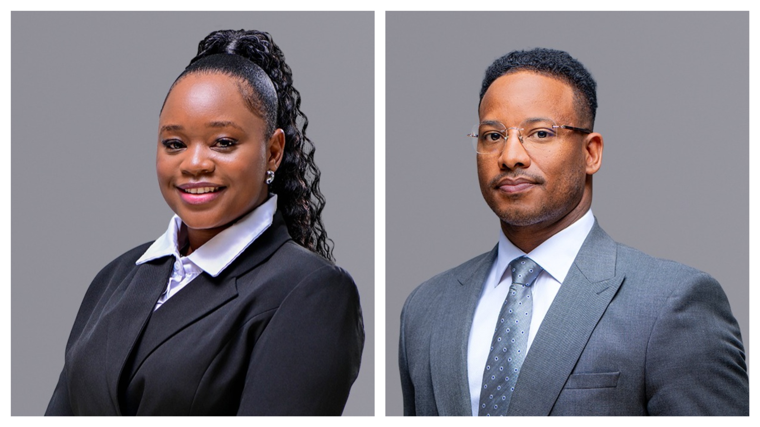 Rare earth mining in Namibia: Strategic partnerships and the emerging legal landscape