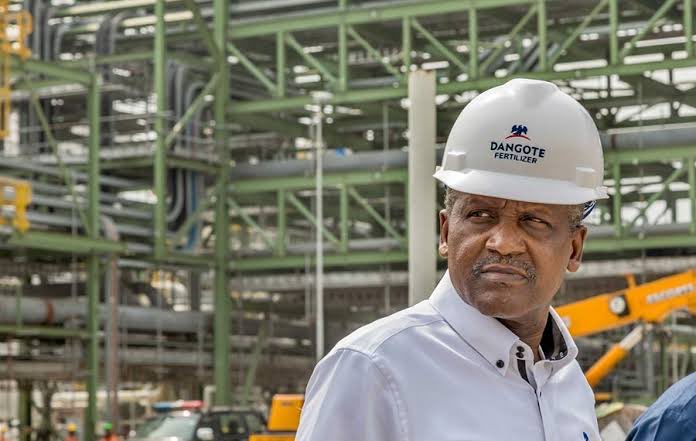 Man wearing a white hard hat with the Dangote Fertilizer logo at an industrial construction site.