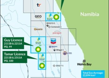 Map of offshore licences off Namibia showing Cooper, Guy, and Tamar licences with block outlines and operator logos (oil/gas context).